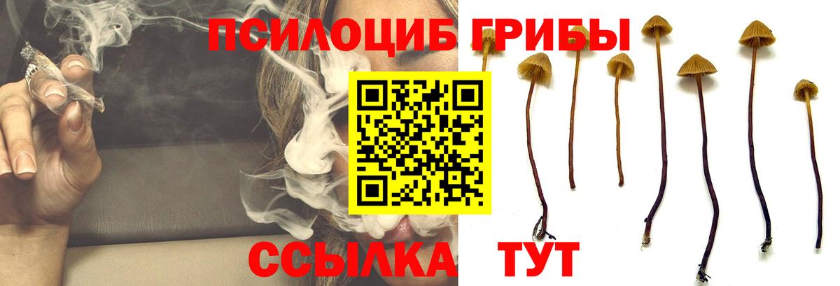 Галлюциногенные грибы Psilocybine cubensis  Галлюциногенные грибы Psilocybine cubensis  Вход с VPN  купить закладку  Стрежевой 
